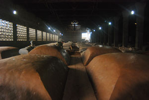 �o�ݻ��A(ch��)�����a(ch��n)�S